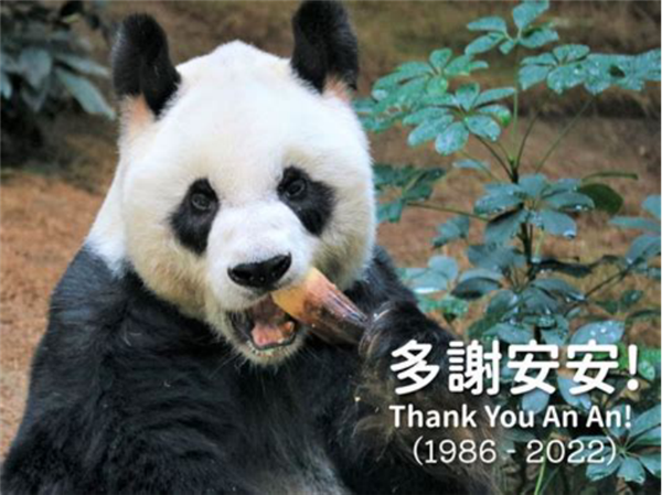 开眼了！这些动物寿命都比人类长：乌龟都比不了