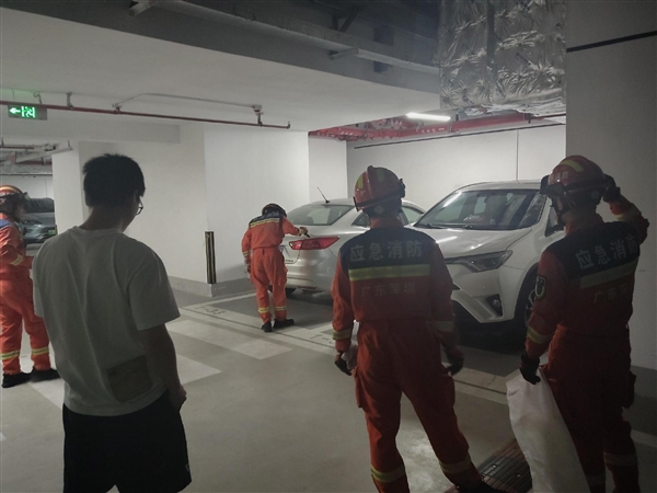 可怕！剧毒眼镜王蛇地库里爬进丰田荣放车头